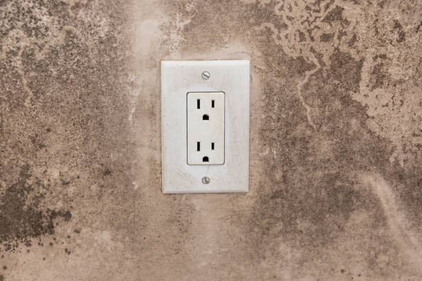 Best Residential Mold Inspection & Testing  in Orcdlands Estates, HI